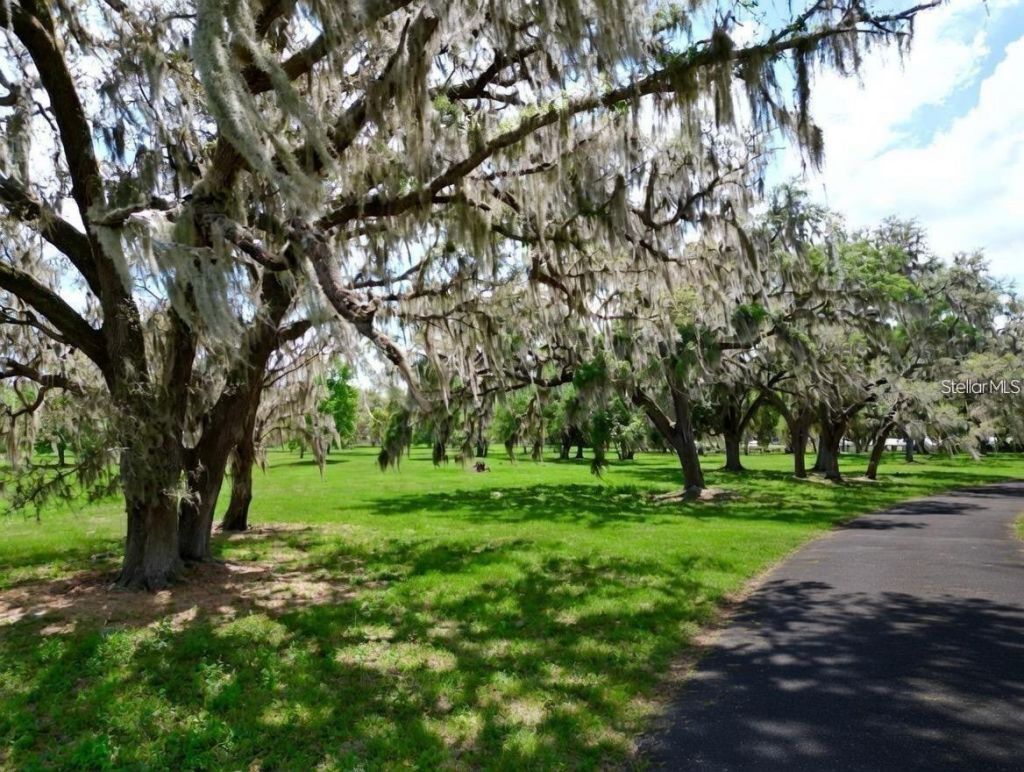 4 Lots SE 115th Street , Belleview, FL 34420 Photo