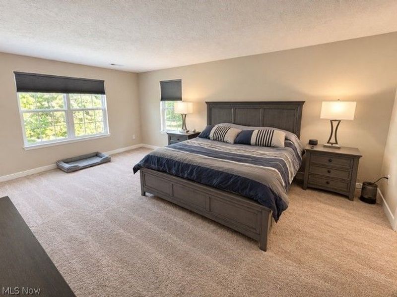 1047 Ashford Court, Columbia Station, OH 44028 Photo 17