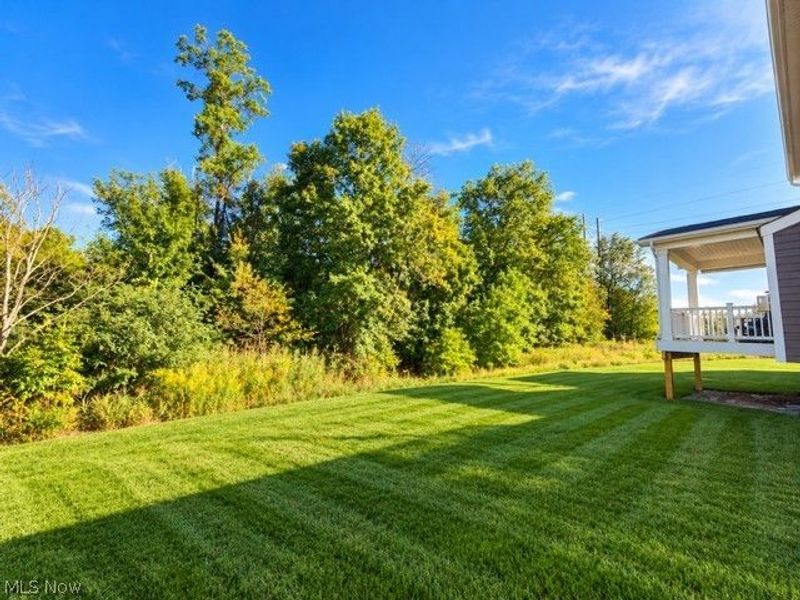 1047 Ashford Court, Columbia Station, OH 44028 Photo 6