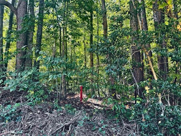 3349 Confederate Point , Canton, GA 30115