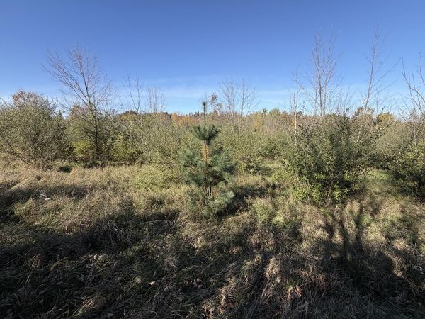 Lot 31 WOODLAND LANE, Viola, WI 54664