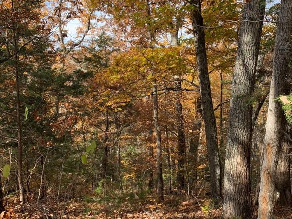 00 Bear Creek Road, Bybee, TN 37713