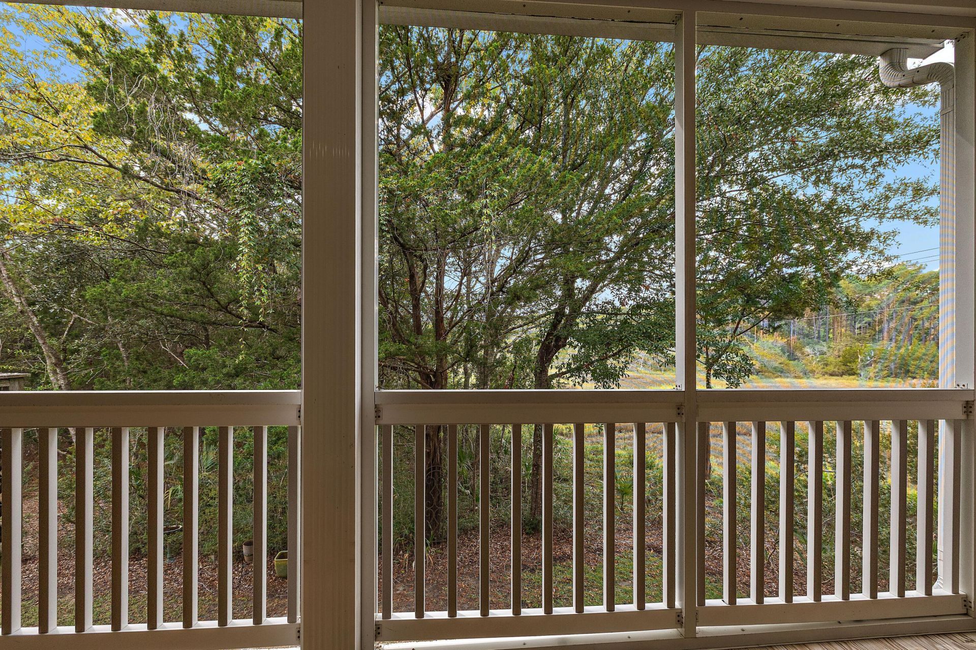 202 Garmouth Court Photo 8
