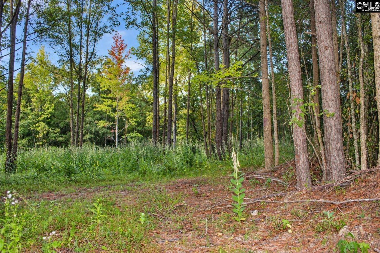 2641 Mccords Ferry Road  Photo 6