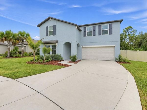 4974 EAGLE ROCK DRIVE , WIMAUMA, FL 33598