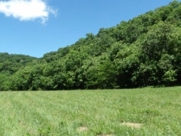 5155 Brimstone Creek Rd , Moss, TN 38575