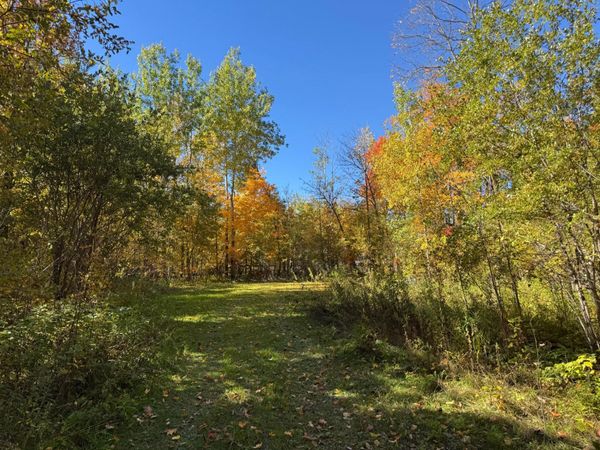 51265 Vagabond Loop , Bemidji, MN 56601