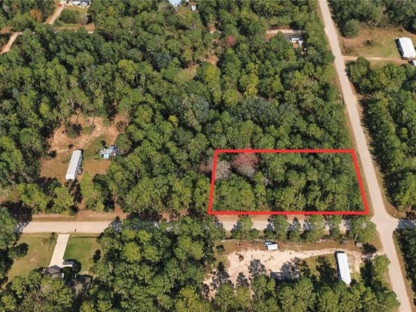 2534 LANCEWOOD STREET , BUNNELL, FL 32110