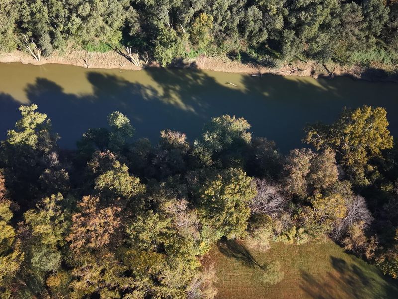 4553 Lambs Ferry Road, Ryland Heights, KY 41015 Photo 10