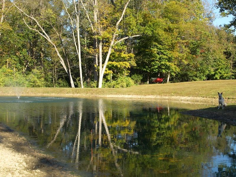 4553 Lambs Ferry Road, Ryland Heights, KY 41015 Photo 12