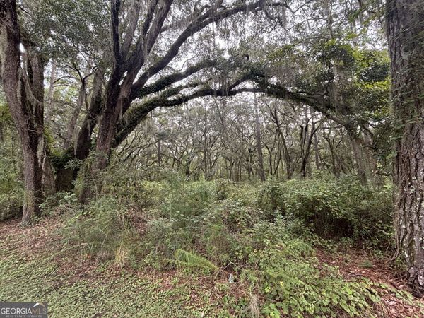 LOT 4 Carnochan Ln., Darien, GA 31305