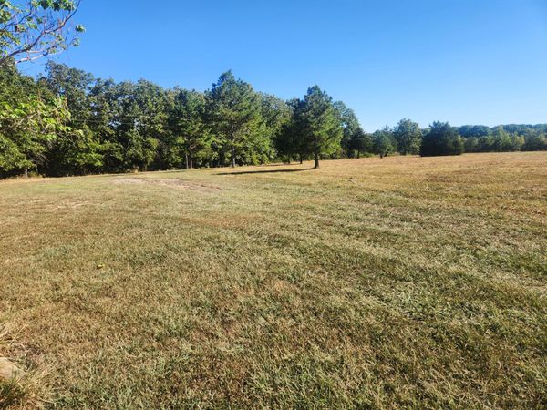 2065 Normandy Road , Fordland, MO 65652