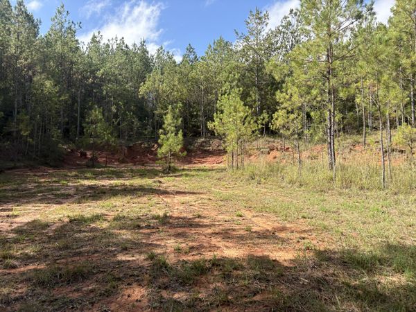 0 County Rd 110, Hattiesburg, MS 39360