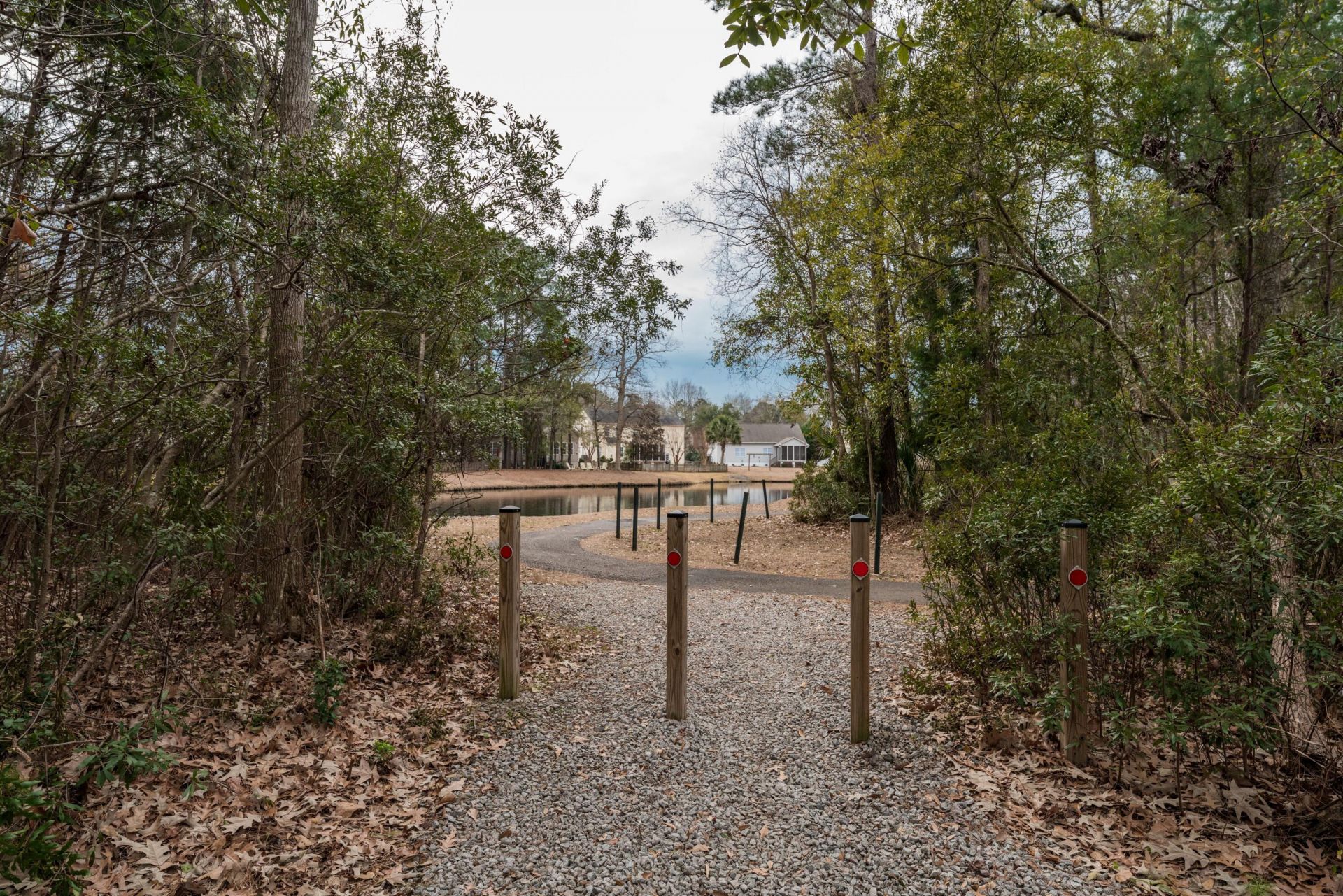 1905 Bristle Pine Court Photo 14