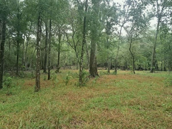 TBD RIVER RUN ROAD, Branford, FL 32008