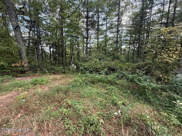 183 Mundy Road , Marble, NC 28905
