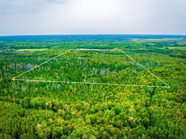 12479 Battle Road NE, Blackduck, MN 56630