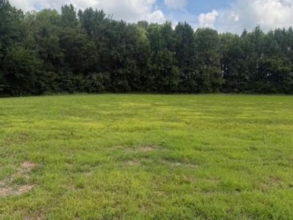 0 Friendhip Road , Cross Plains, TN 37049