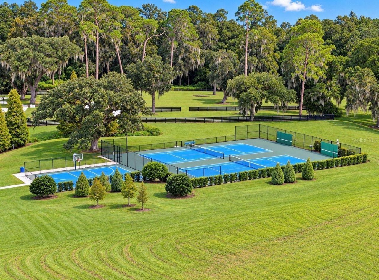 12326 Stonelake Ranch Boulevard, Thonotosassa, FL 33592 Photo