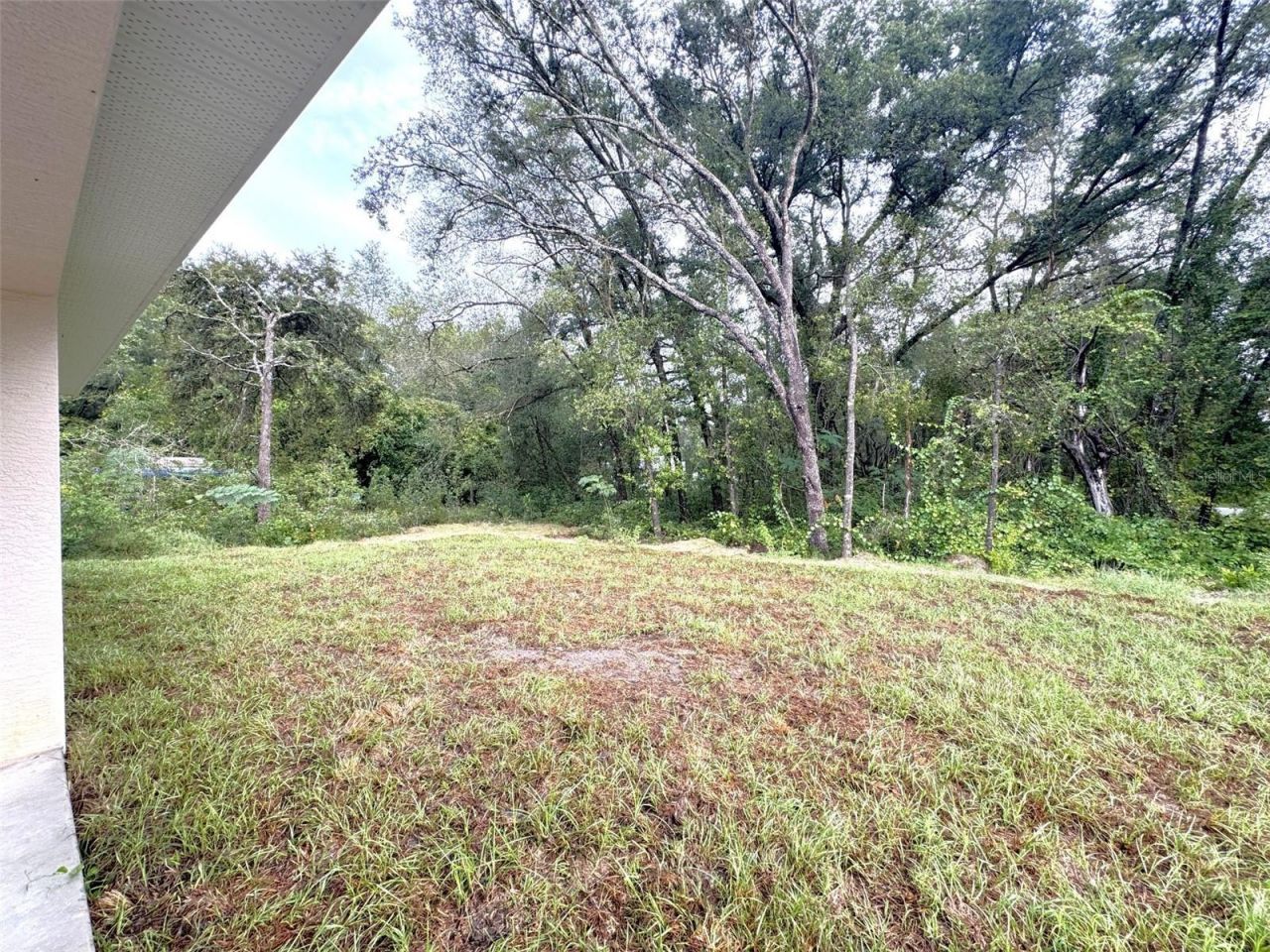 3893 E Forest Drive , Inverness, FL 34453 Photo