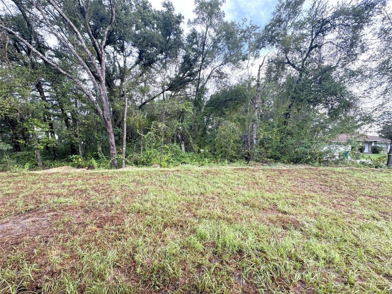 3893 E Forest Drive , Inverness, FL 34453 Photo