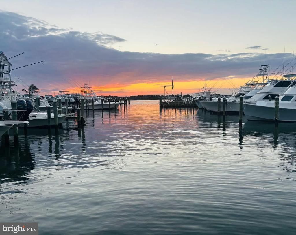 205 SOMERSET STREET, OCEAN CITY, MD 21842