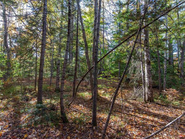 Map 401 Lot 3 Chocorua Mountain Highway, Tamworth, NH 03875