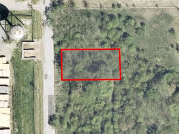 15313 S Wallace Avenue , South Holland, IL 60473