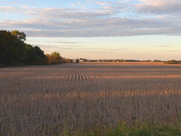 Lt1 Bray Rd, Lafayette, WI 53121