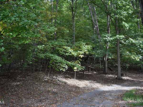 Tbd Echo Hills Drive, Rogersville, TN 37857