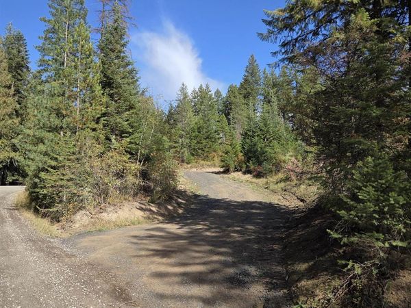 20866 N Mt Carlton Rd, Mead, WA 99021