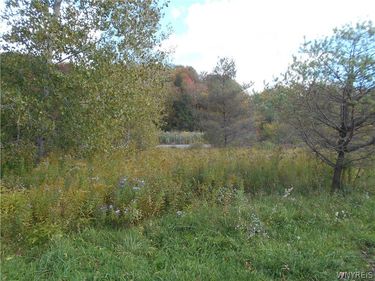 10628 Route 16, Delevan, NY 14042