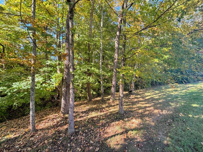 3079 Silverbell Way, Independence, KY 41051 Photo 46