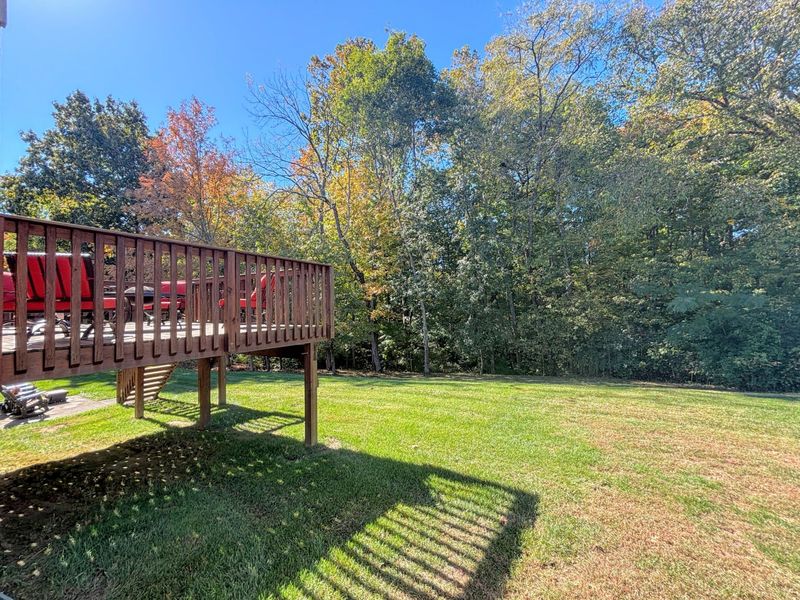 3079 Silverbell Way, Independence, KY 41051 Photo 48