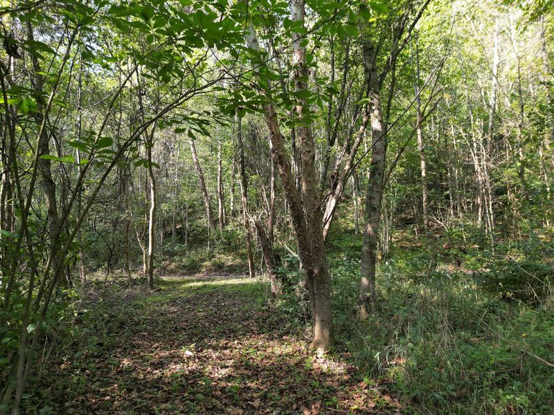 71547 Cottrill Road , Unit (Wooded Re, Wilkesville, OH 45695 Photo 12