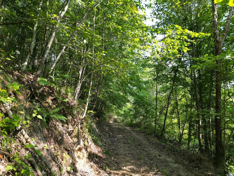 71547 Cottrill Road , Unit (Wooded Re, Wilkesville, OH 45695 Photo 2