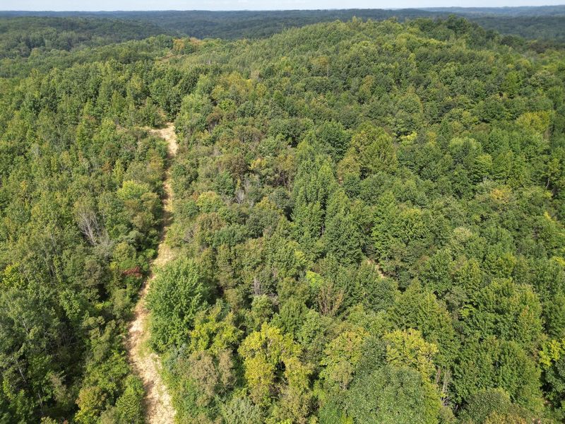 71547 Cottrill Road , Unit (Wooded Re, Wilkesville, OH 45695 Photo 25