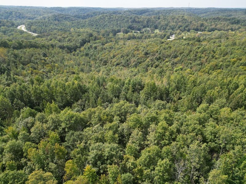 71547 Cottrill Road , Unit (Wooded Re, Wilkesville, OH 45695 Photo 26