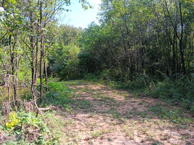 71547 Cottrill Road , Unit (Wooded Re, Wilkesville, OH 45695 Photo 28