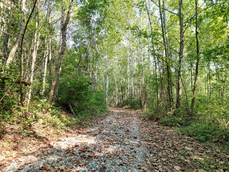 71547 Cottrill Road , Unit (Wooded Re, Wilkesville, OH 45695 Photo 29