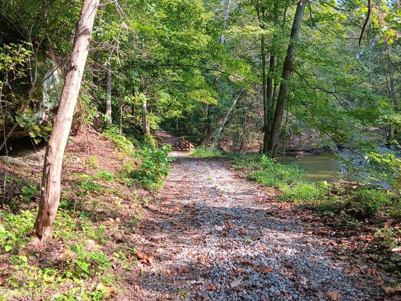 71547 Cottrill Road , Unit (Wooded Re, Wilkesville, OH 45695 Photo 6