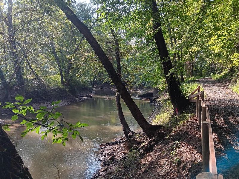 71547 Cottrill Road , Unit (Wooded Re, Wilkesville, OH 45695 Photo 7
