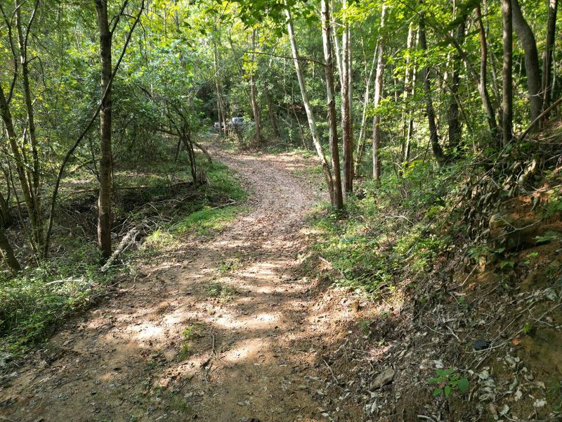 71547 Cottrill Road , Unit (Wooded Re, Wilkesville, OH 45695 Photo 8