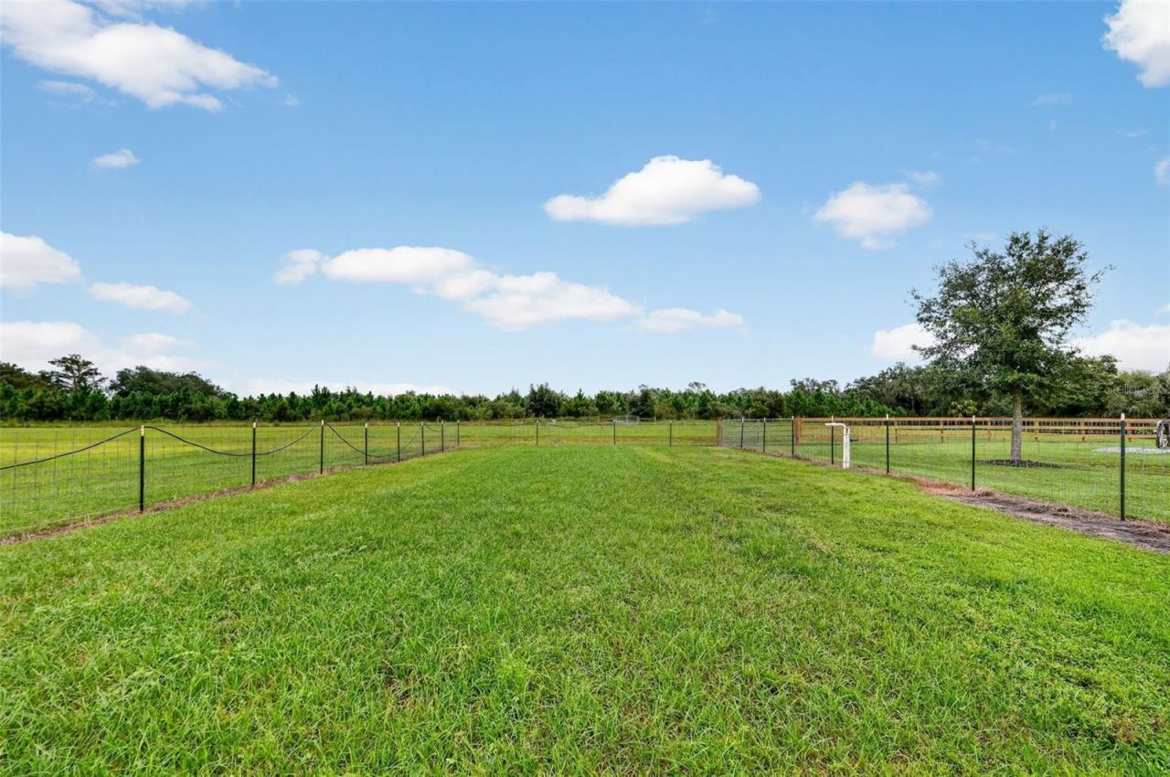 5420 SW County Road 769, Arcadia, FL 34269 Photo