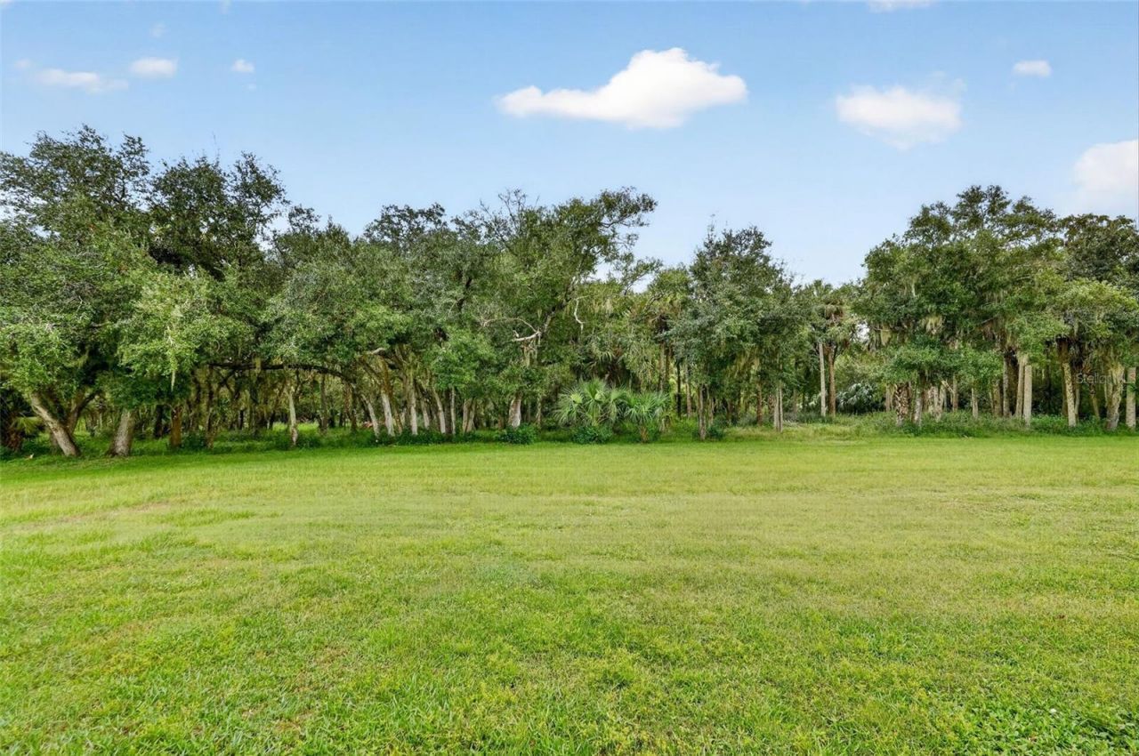5420 SW County Road 769, Arcadia, FL 34269 Photo