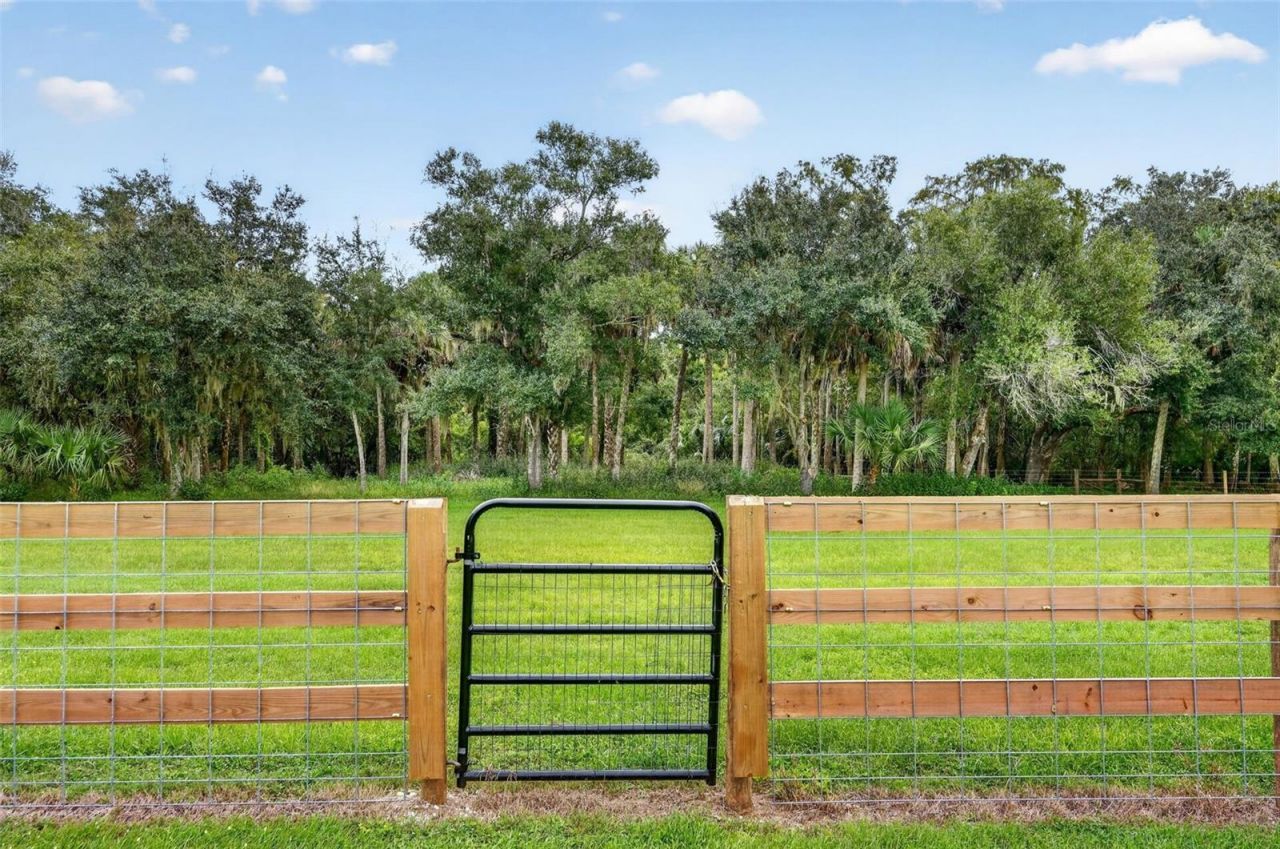 5420 SW County Road 769, Arcadia, FL 34269 Photo
