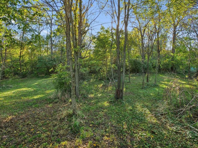 19459 Dog Leg Road, Marysville, OH 43040 Photo 48