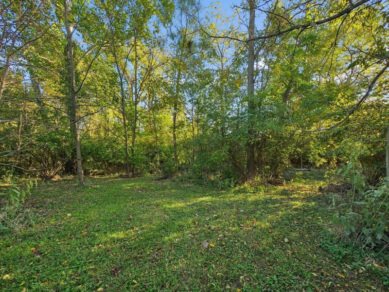 19459 Dog Leg Road, Marysville, OH 43040 Photo 50