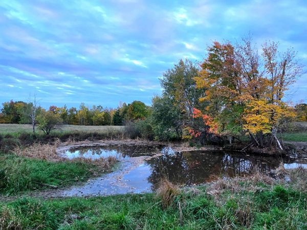 8250 Hawk Ridge Road, Grasston, MN 55030