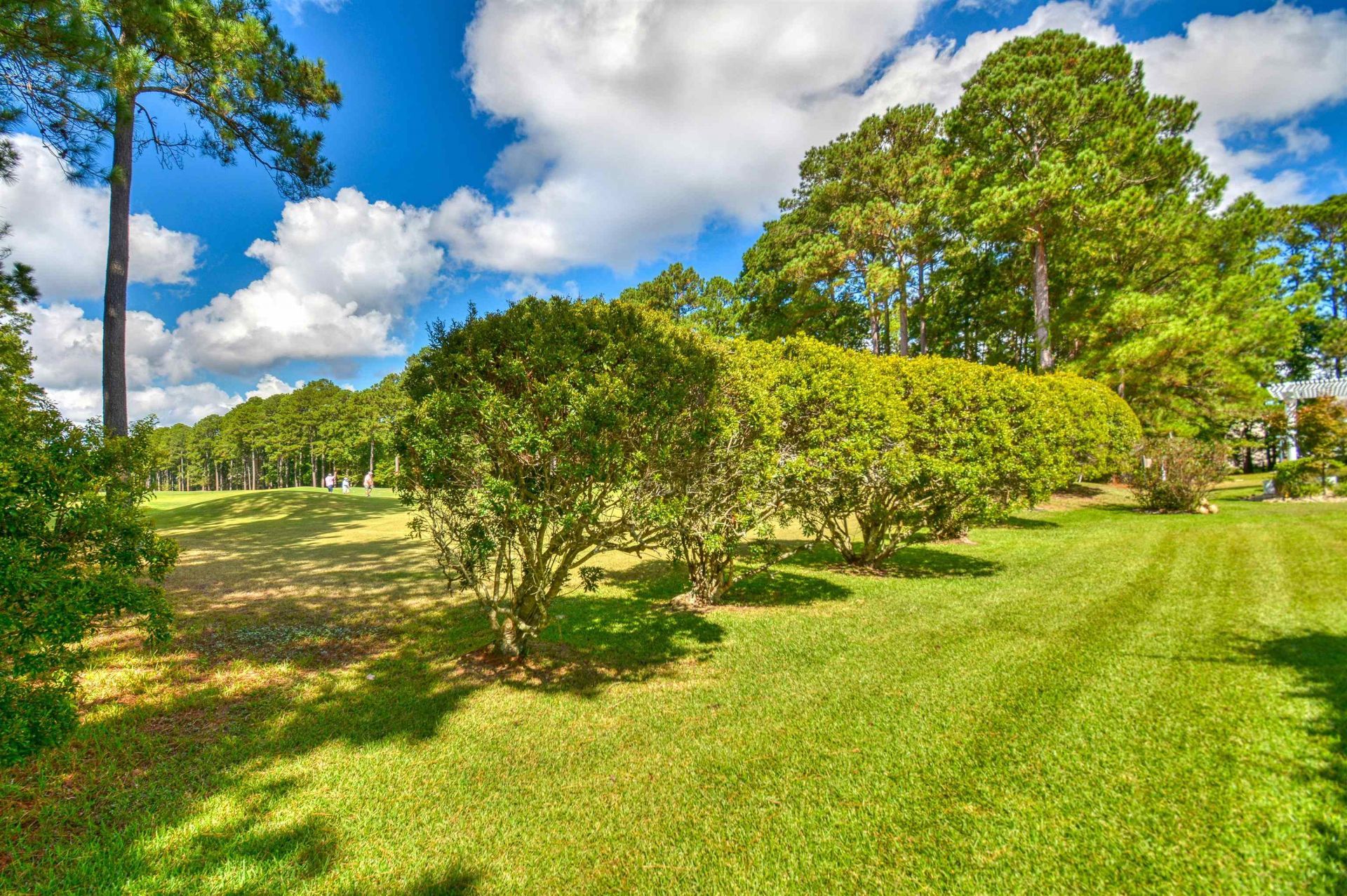 1201 Harrogate Ct. Photo 40